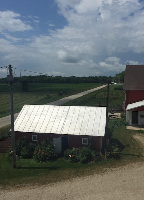 Summer Calf Barn