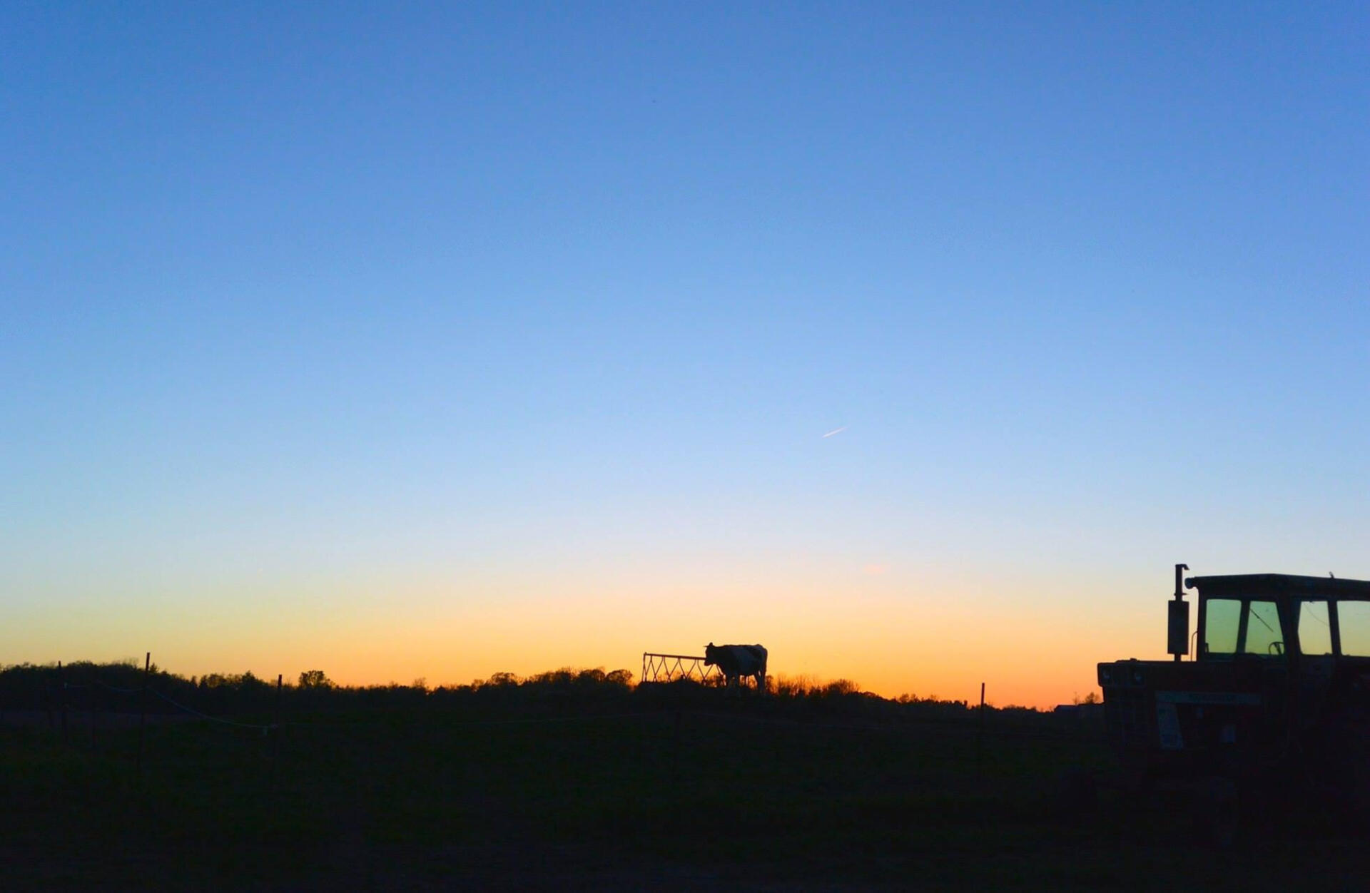 Tractor Horizon